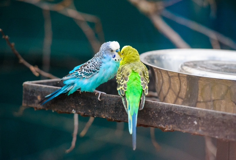 lp_support_shutterstock_223892704.jpg